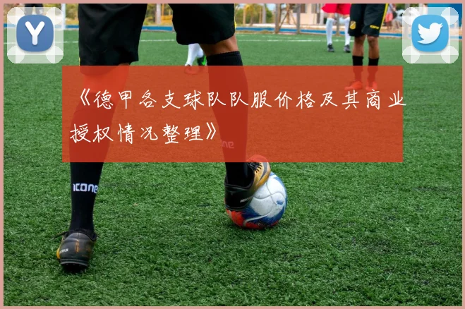《德甲各支球队队服价格及其商业授权情况整理》