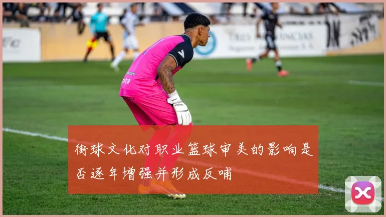 街球文化对职业篮球审美的影响是否逐年增强并形成反哺