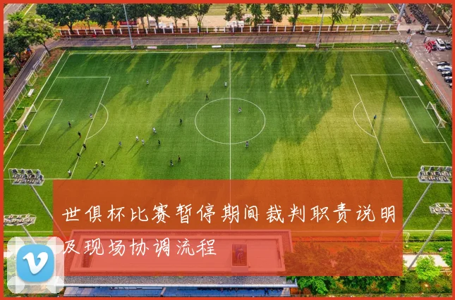 世俱杯比赛暂停期间裁判职责说明及现场协调流程