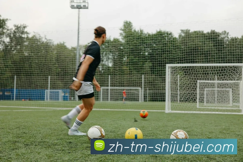 世界杯赛程表平台生态图